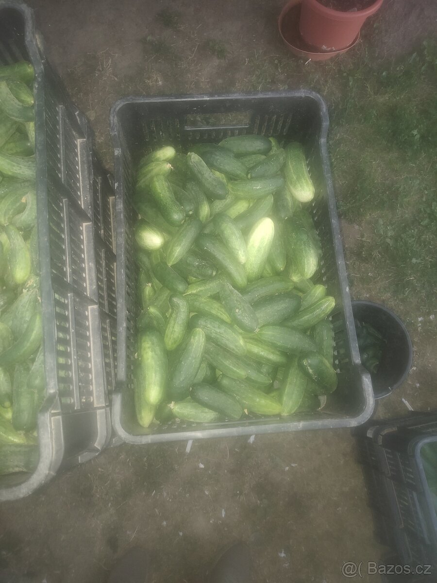 Dnes natrhane nákladačky - 2