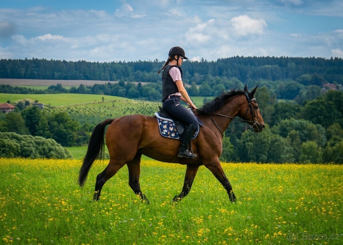 Valach na rekreaci - 2
