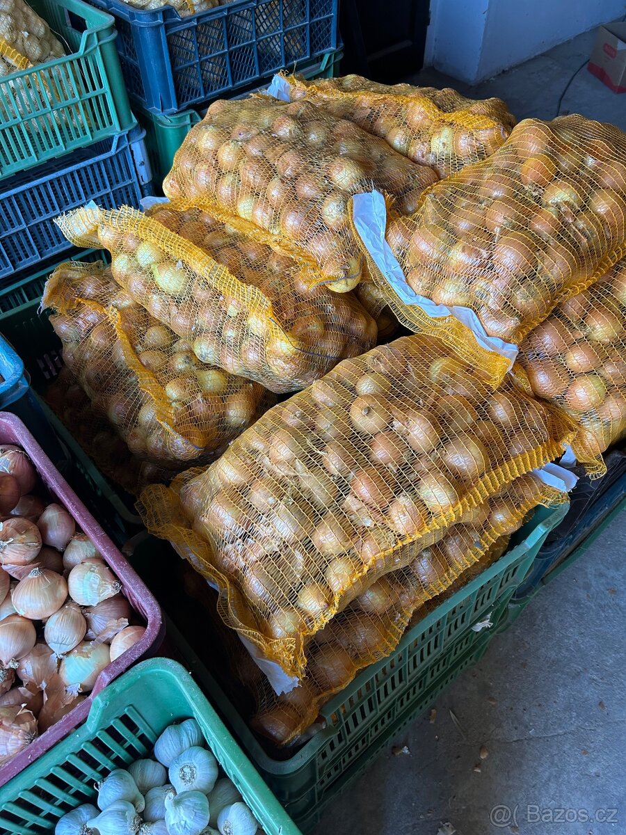 Brambory, cibule a česnek - 2