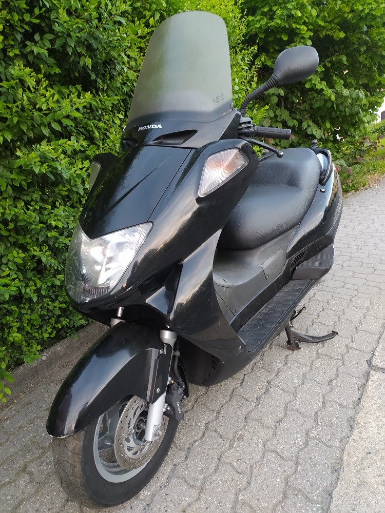Honda 250 Foresight - 2