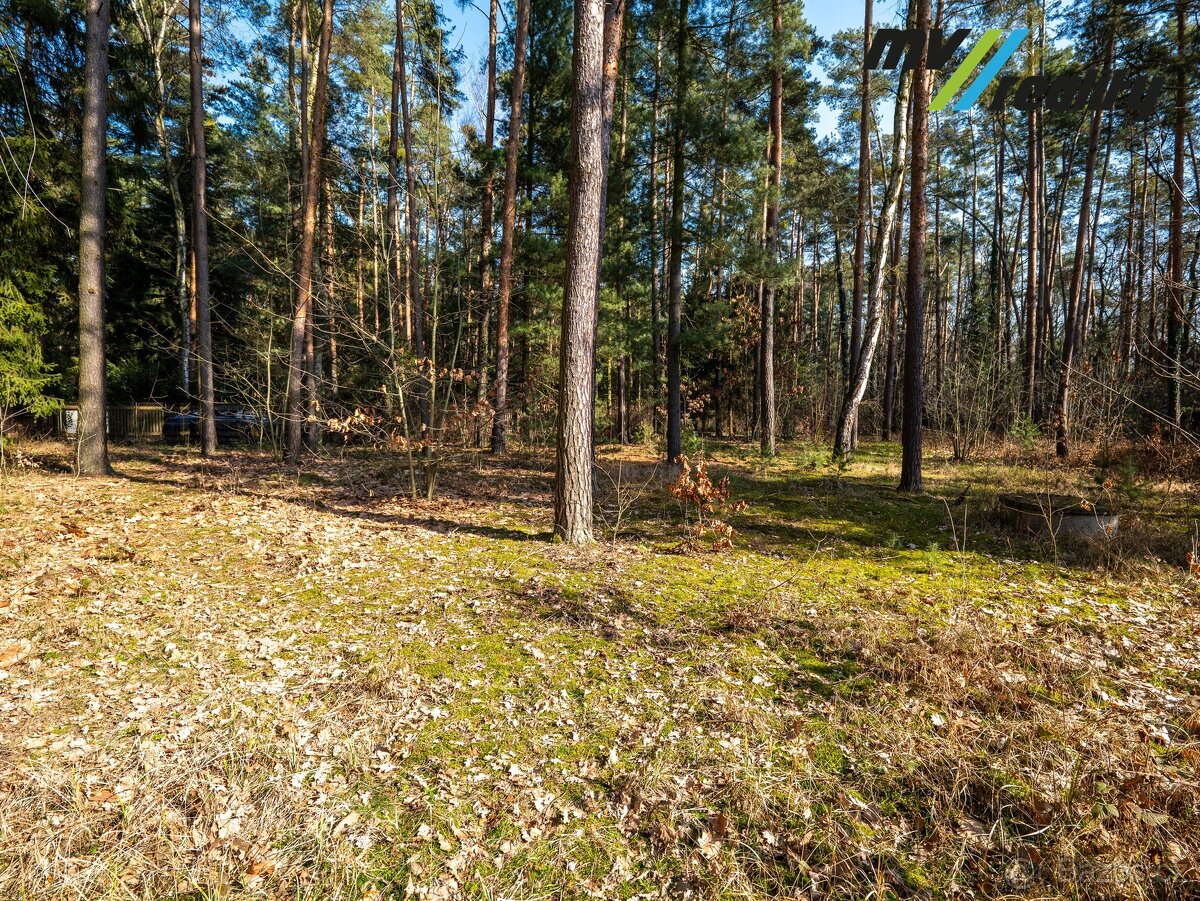 Kersko, prodej stavebního pozemku (3725 m2), okres Nymburk - 2