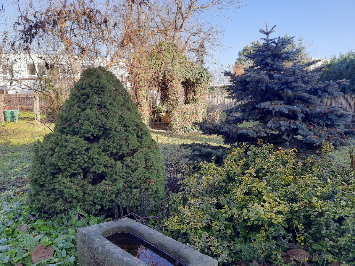 Pronajmu byt v přírodě v Hradci Králové za 10 000 kč - 2