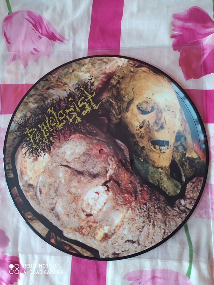 LP PATHALOGIST, INSANIA, POSLOUCHÁTE JIŽNÍ ČECHY, SUPERAPES - 2