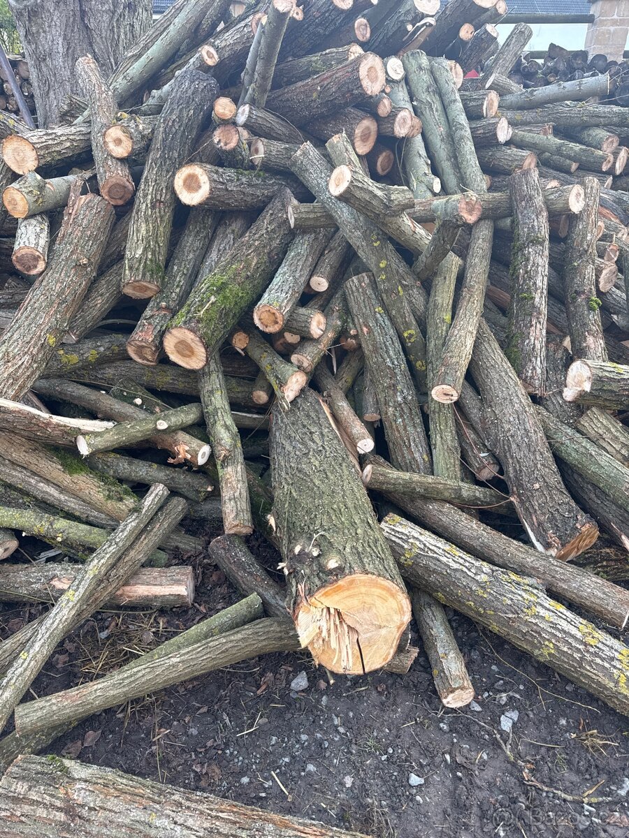 Listnaté dřevo 700/m3 - 2