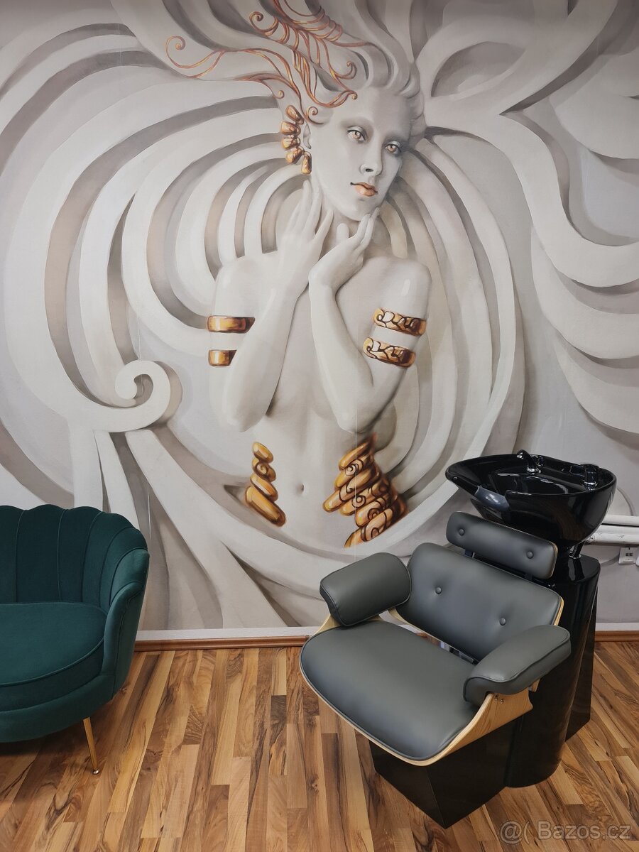 Pronájem kadeřnického křesla - 2