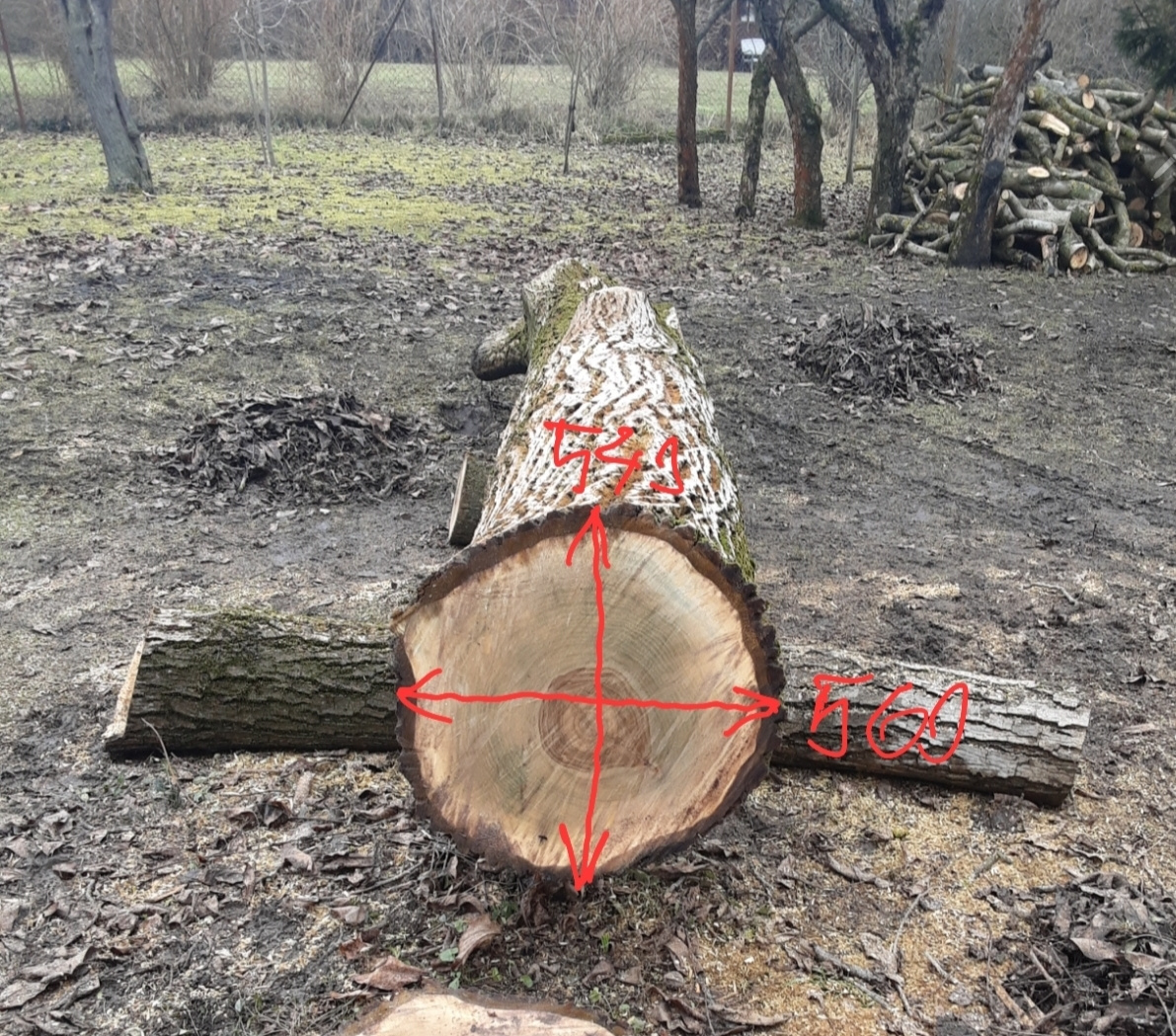 Prodej kmene ořešáku 1 - 2