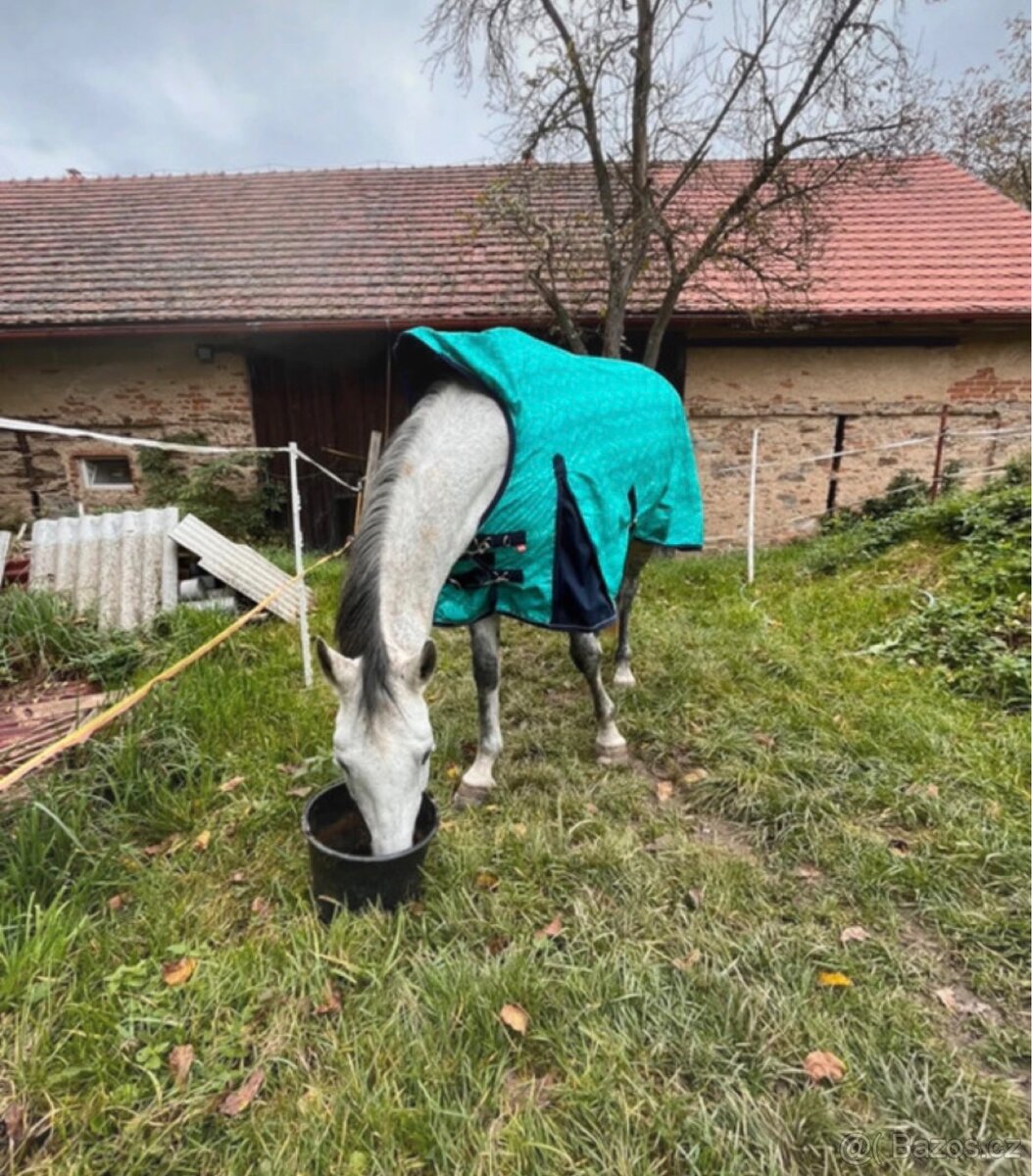 Deka imperial riding 145 - 2