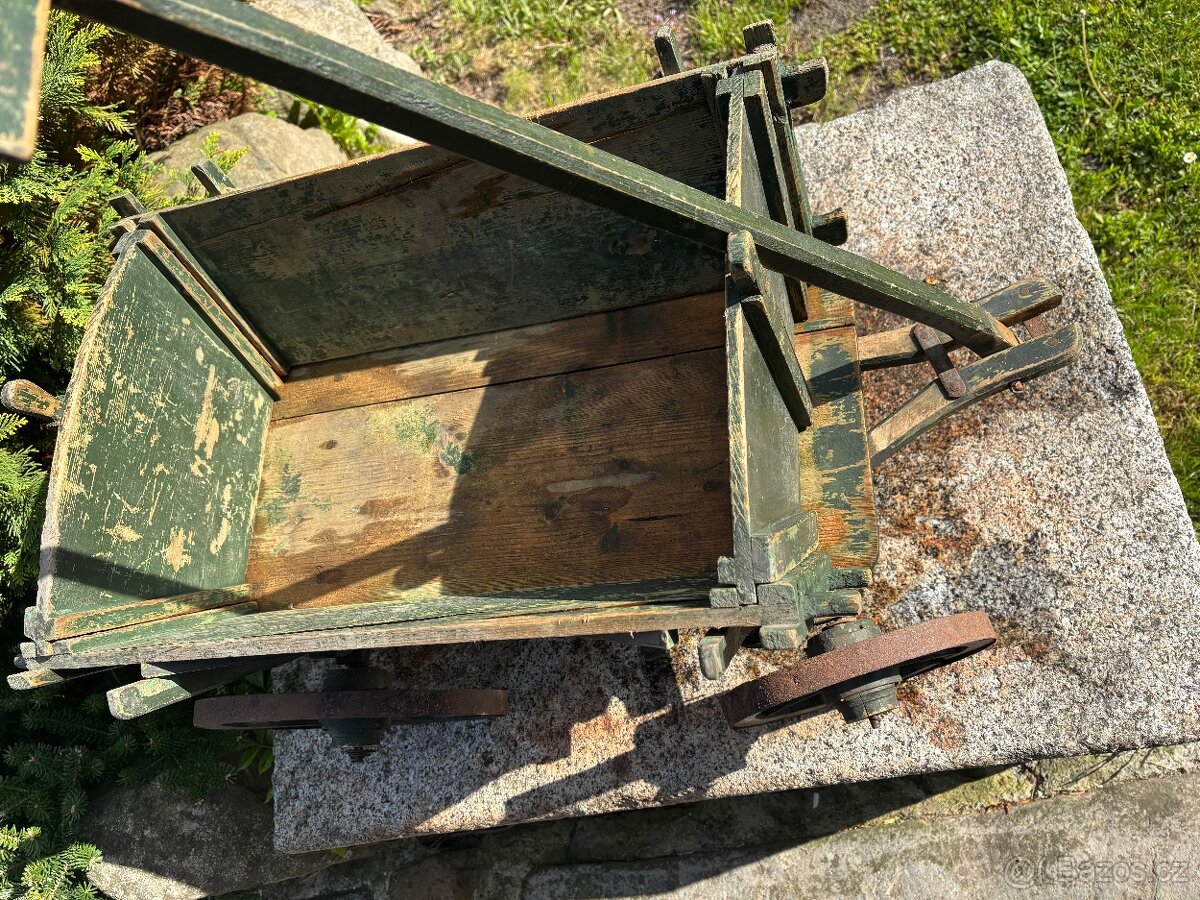 Žebřiňák bedňáček - 2