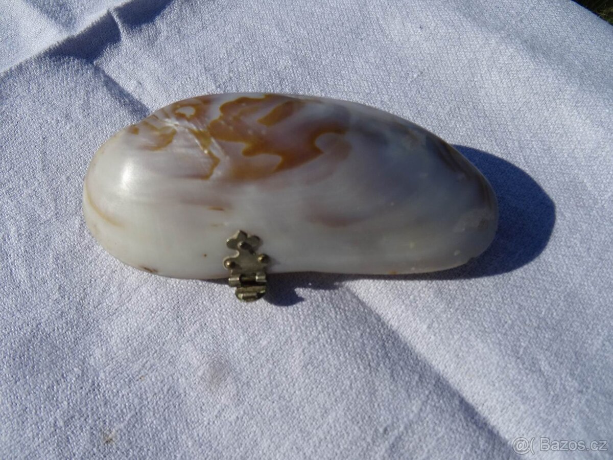 Starožítná etui z lastury. - 2