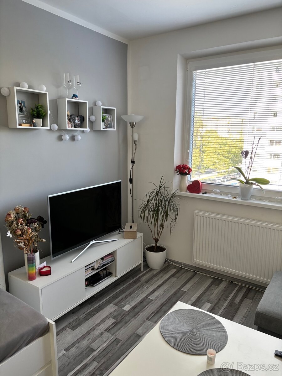 Byt 1+kk - pronájem - 2