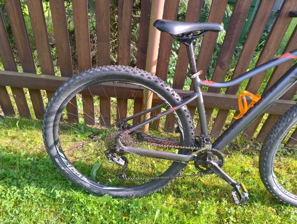 Specialized Comp Jetta dámské 29 - 2
