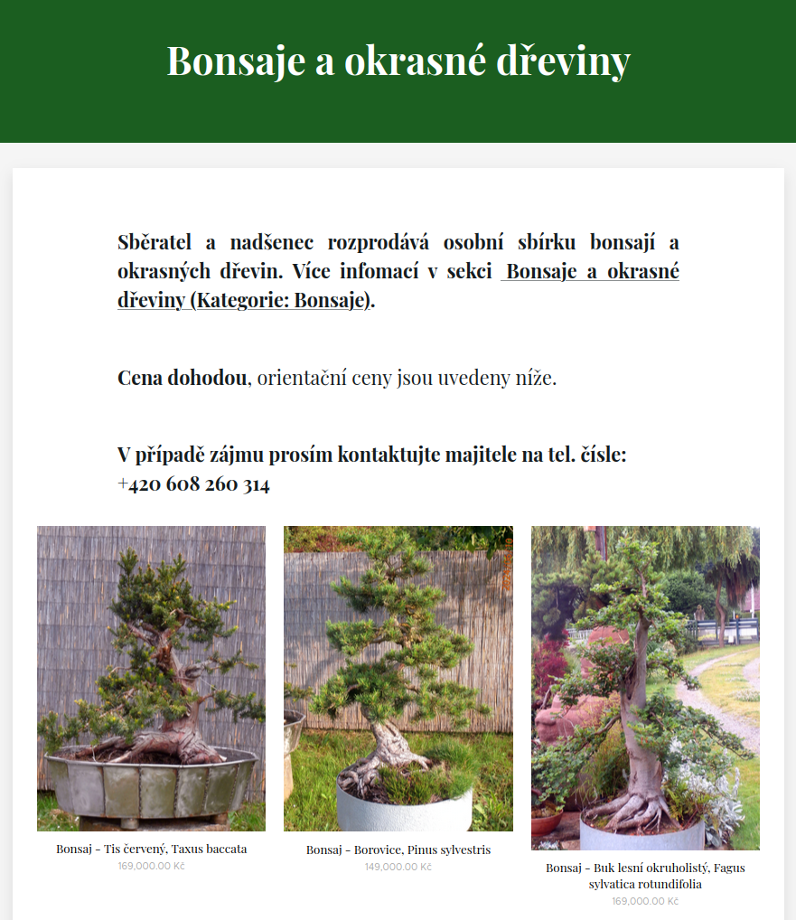 Bonsaje a okrasné dřeviny - 2