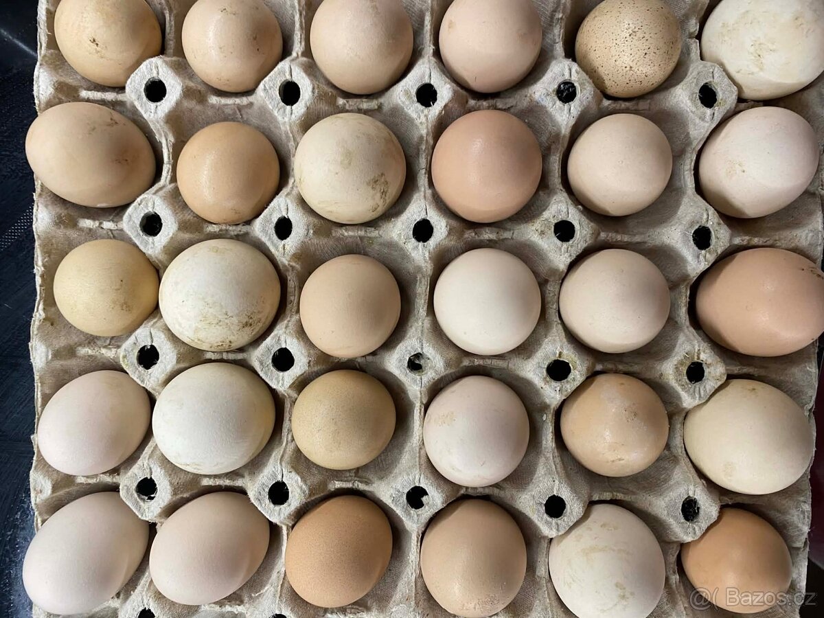 domácí vajíčka - 2