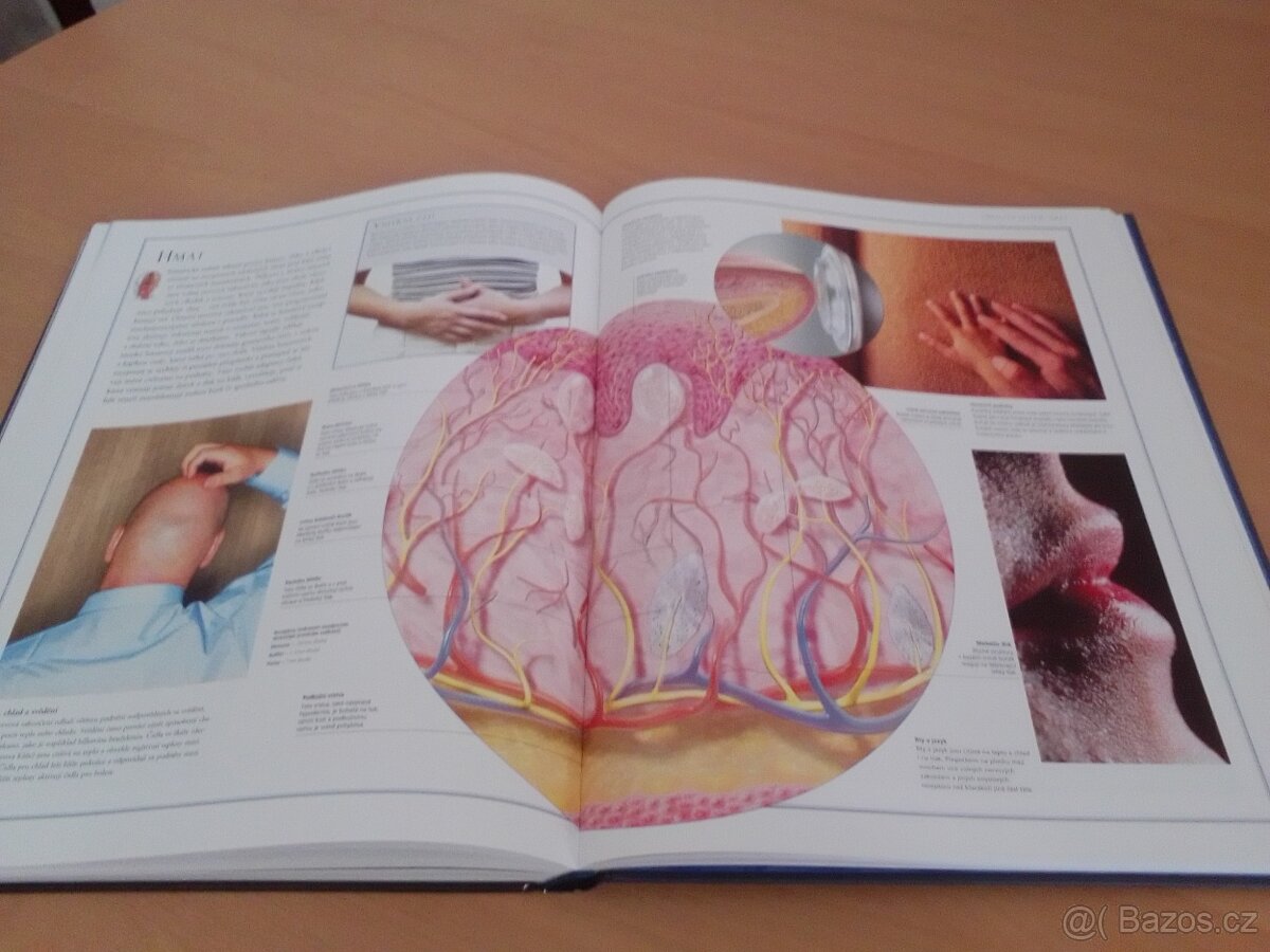 Lidské tělo - nová - 2