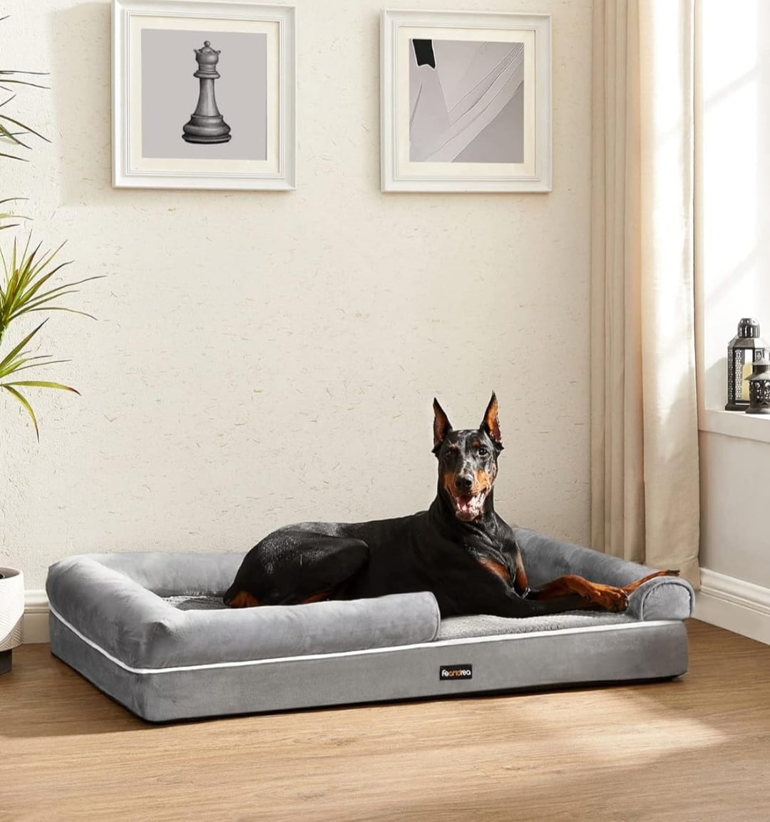 NOVÝ ORTOPEDICKÝ PELÍŠEK - 2