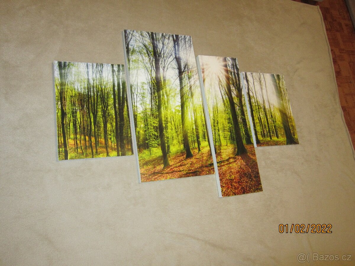 Vícedílný obraz lesa - 2