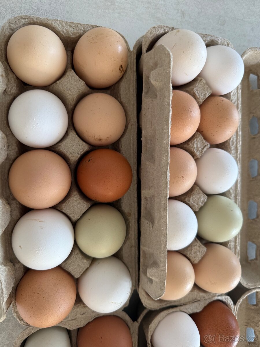 Domácí vajíčka 🥚 - 2