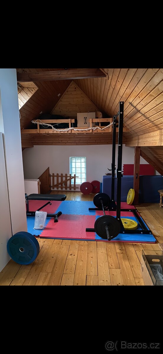 Domácí posilovna - 2