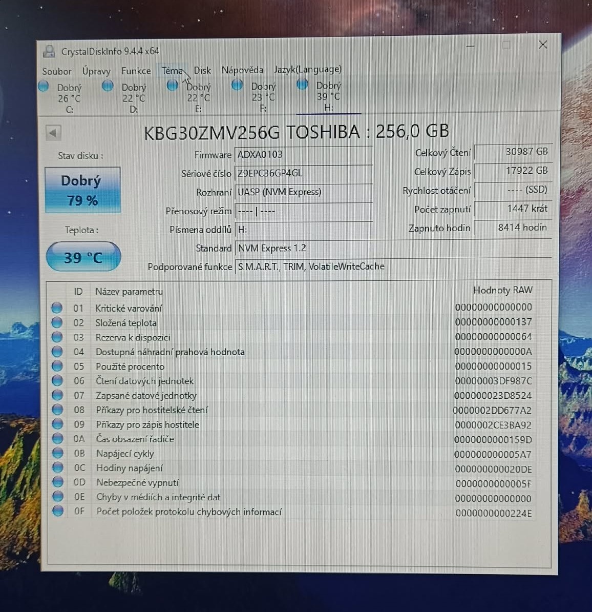 SSD M.2 NVMe 256GB - 2