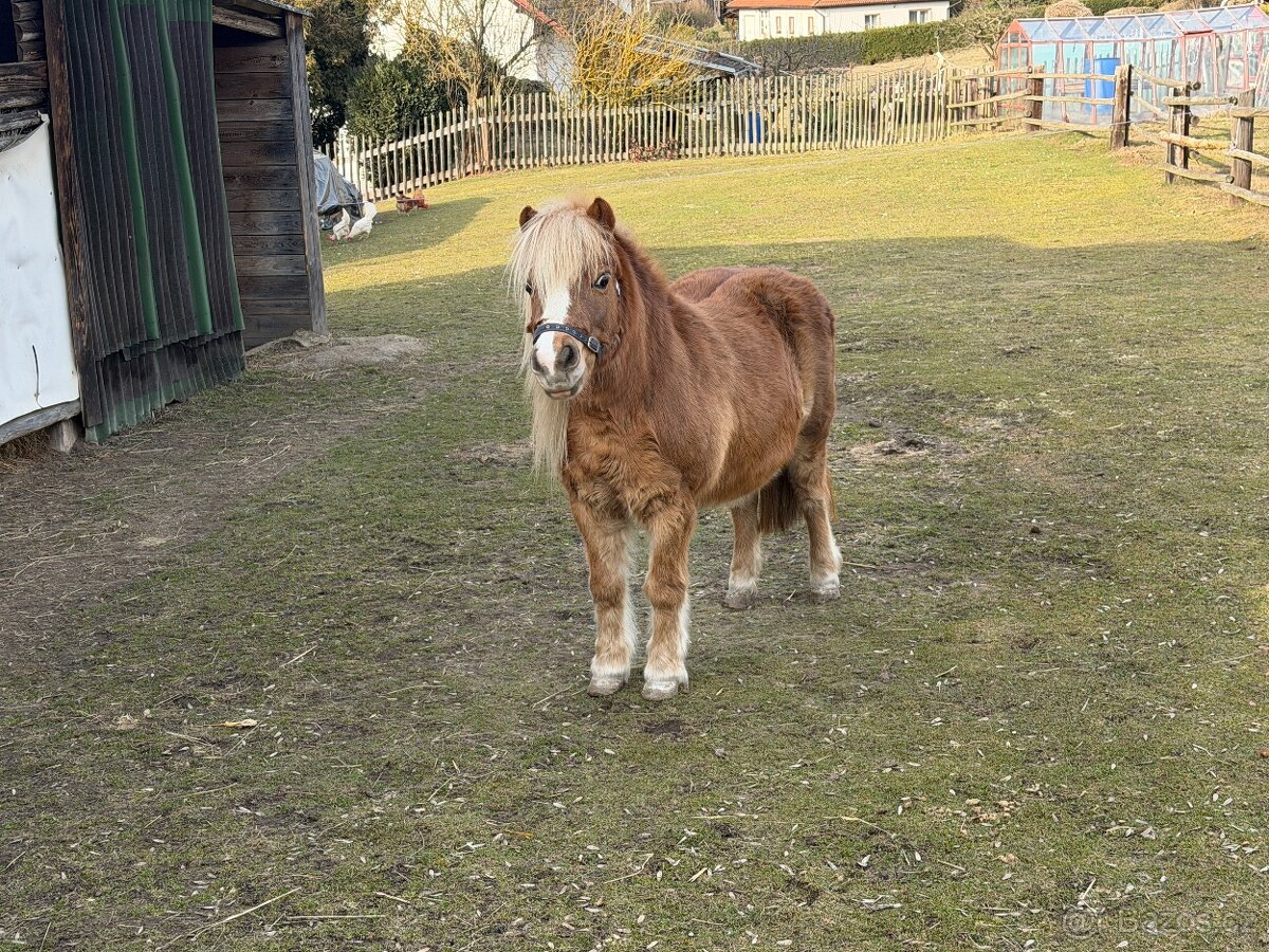 Prodej Kobylky - 2