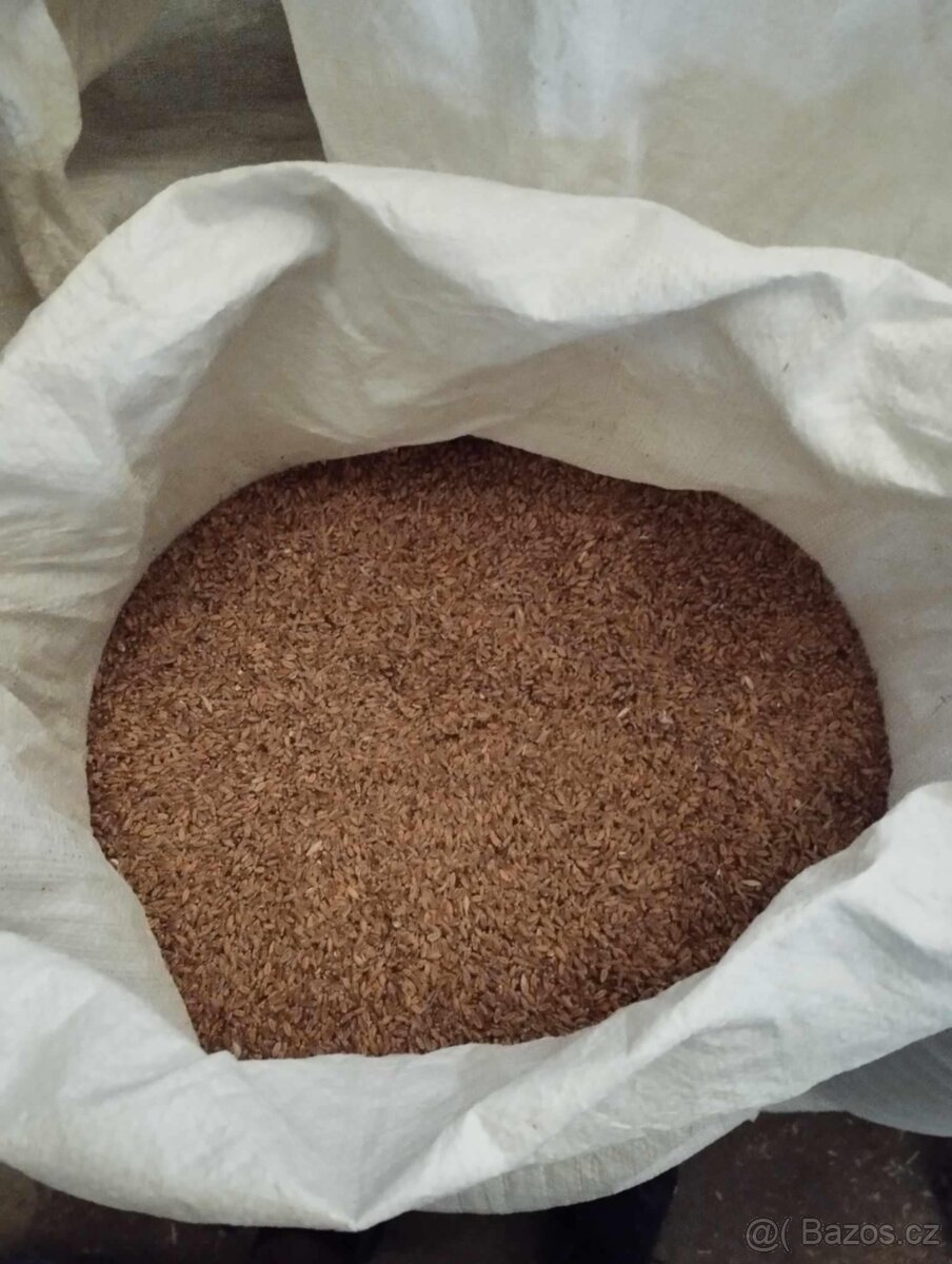 Pšenice a ječmen - 2