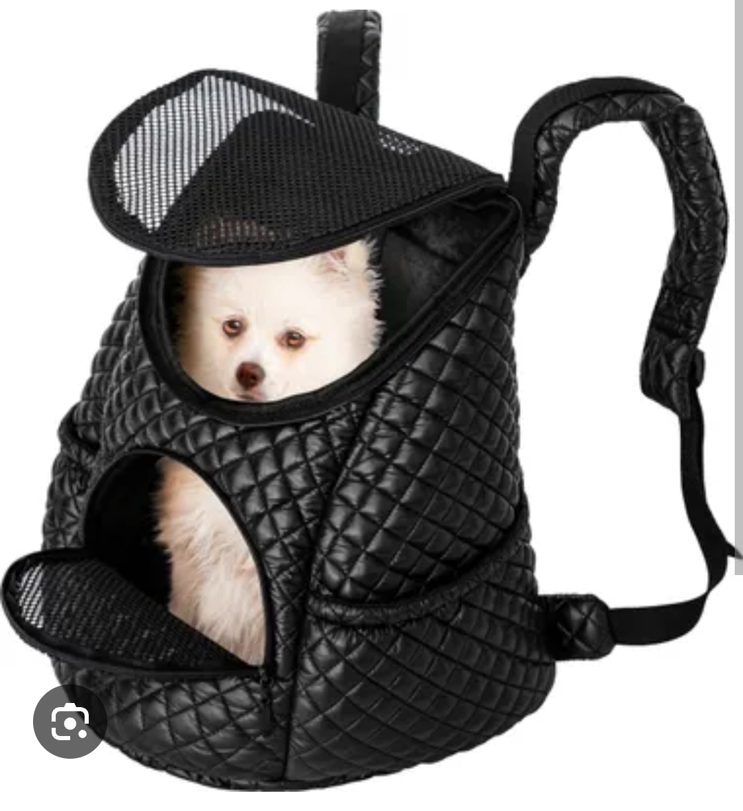 Batoh pro mazlíčka - 2