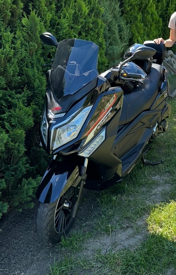 KENTOYA Maximus, Torax - 2