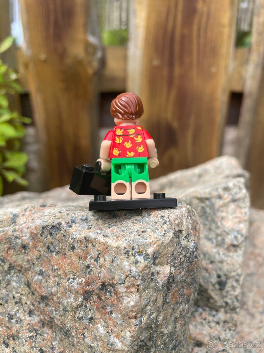 Lego Batman Robin - 2