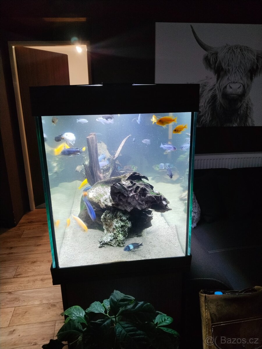 Akvárium juwel 450l - 2