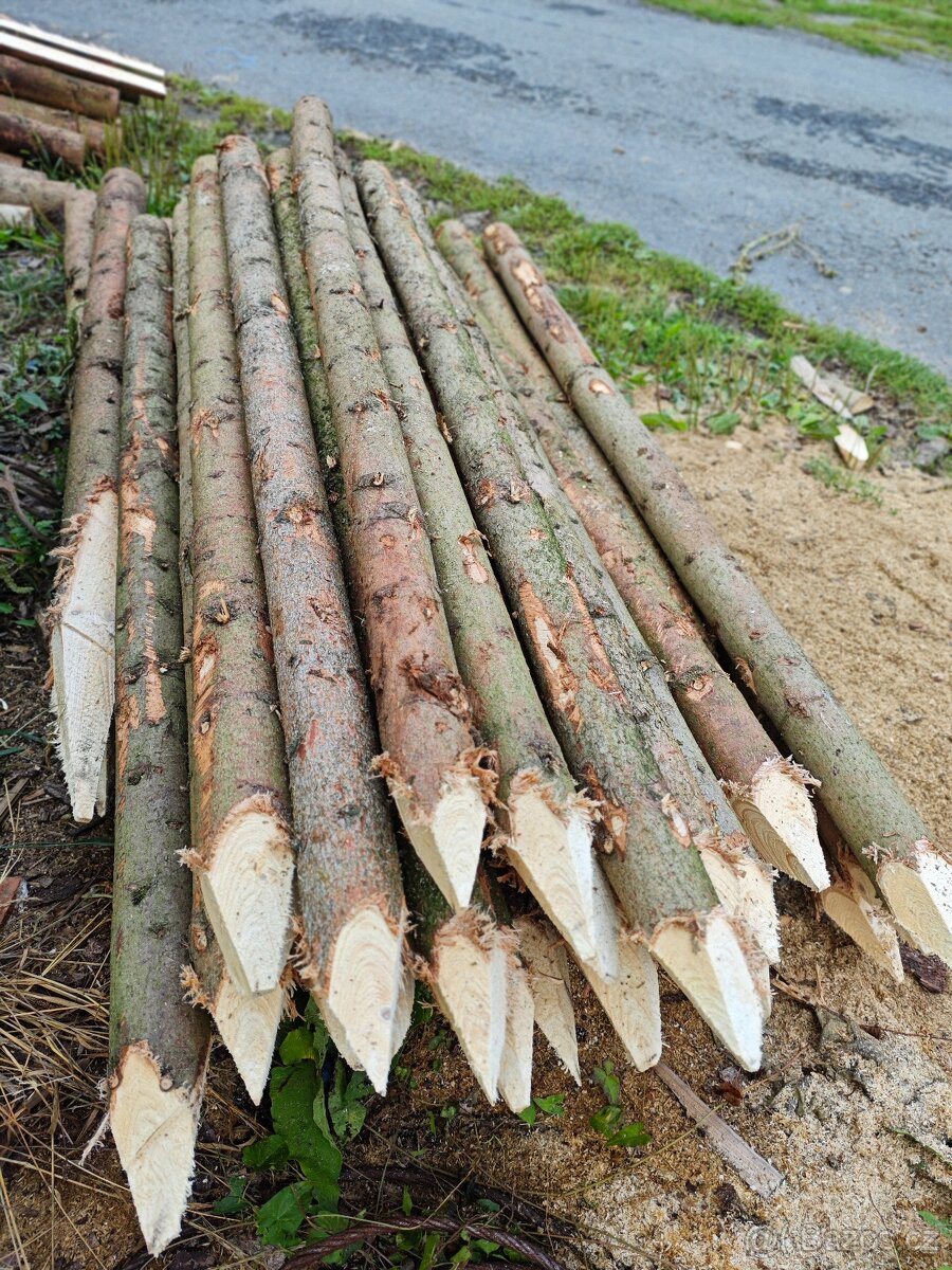 Dřevěné kůly ,čertsvy smrk - 2