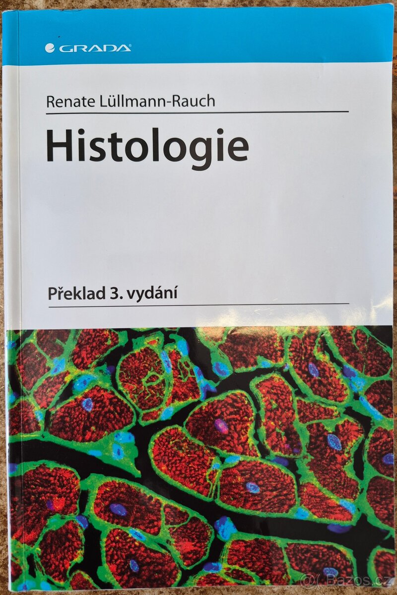 Anatomie a histologie - 2