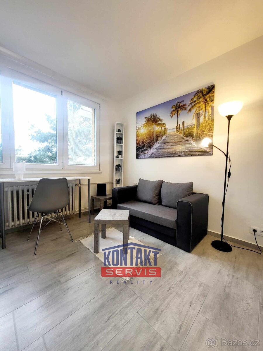 Pronájem plně vybaveného bytu 1+kk, 25 m² - České Budějovice - 2