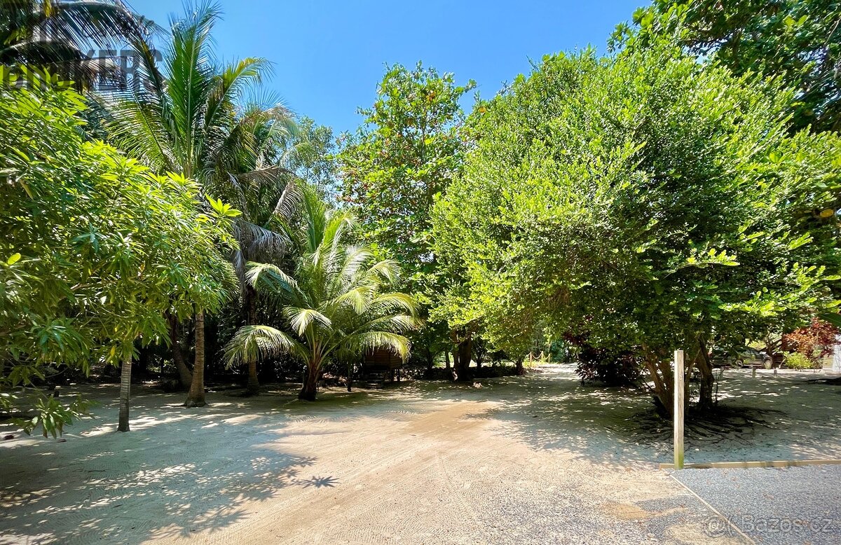 Pangea Tower Camp Bay Beach - 2