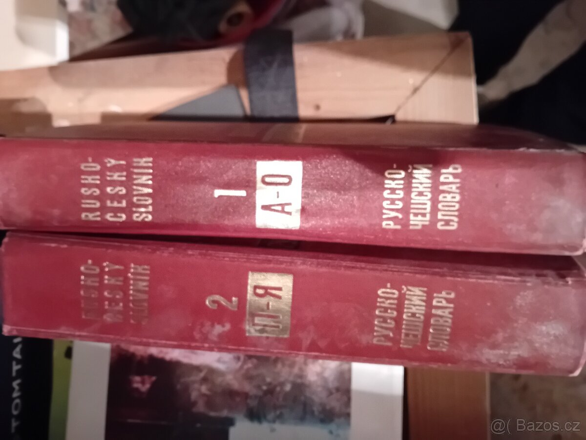 Rusko-český slovník - 2