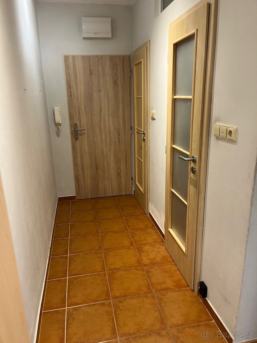 Pronájem bytu 2+1 - 2