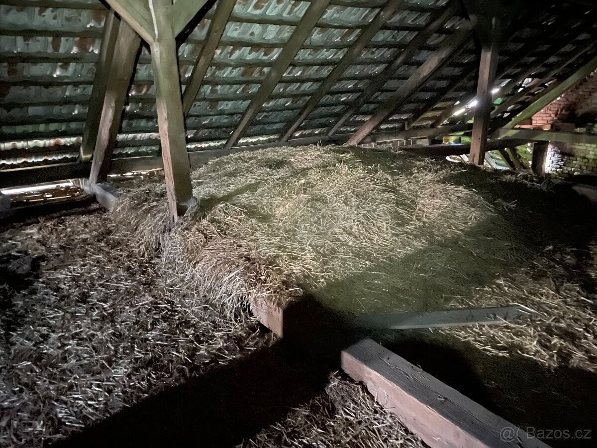 Daruji staré suché seno a slámu za odvoz - 2