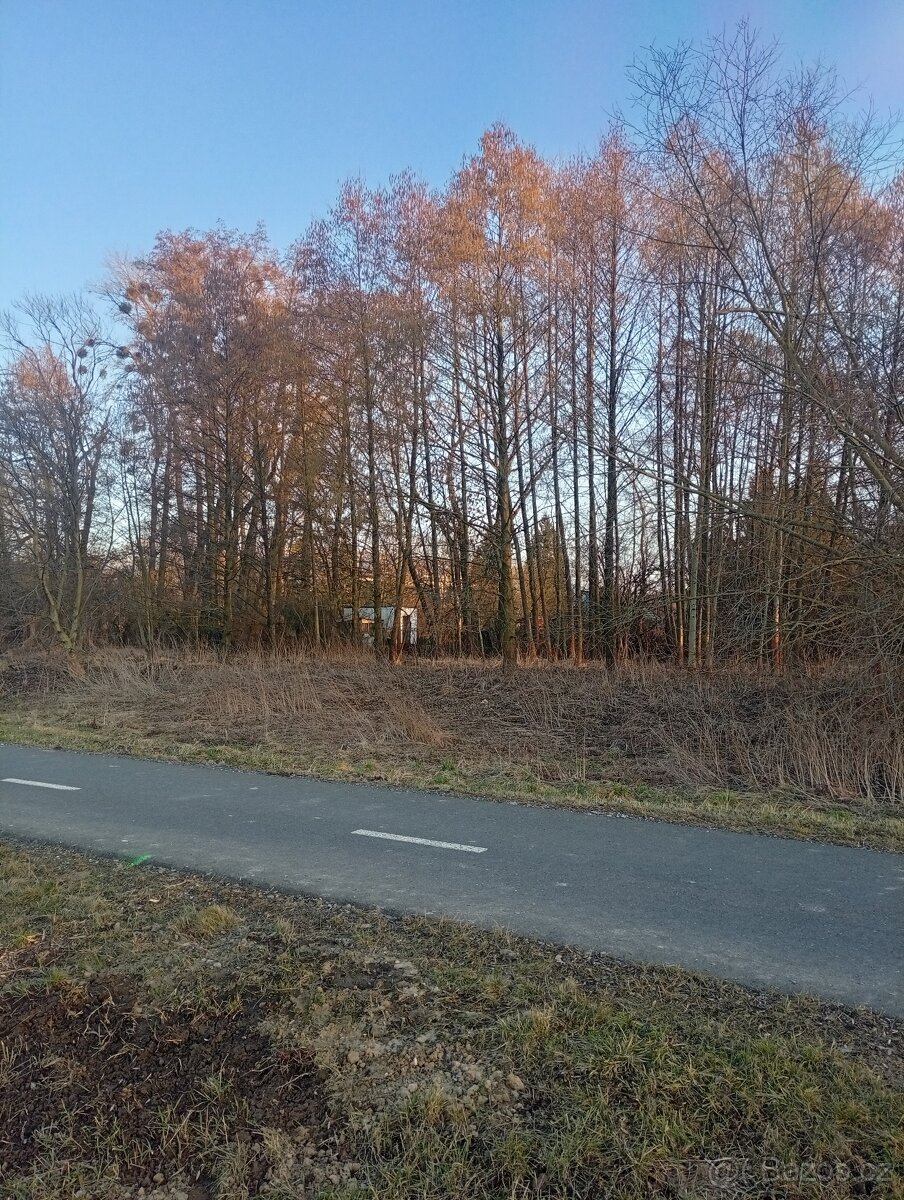 Prodám zahradu v Litovli - 2