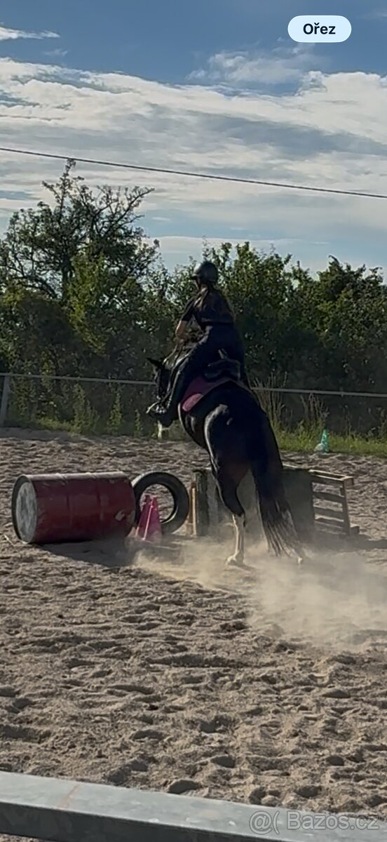 Pony - 2