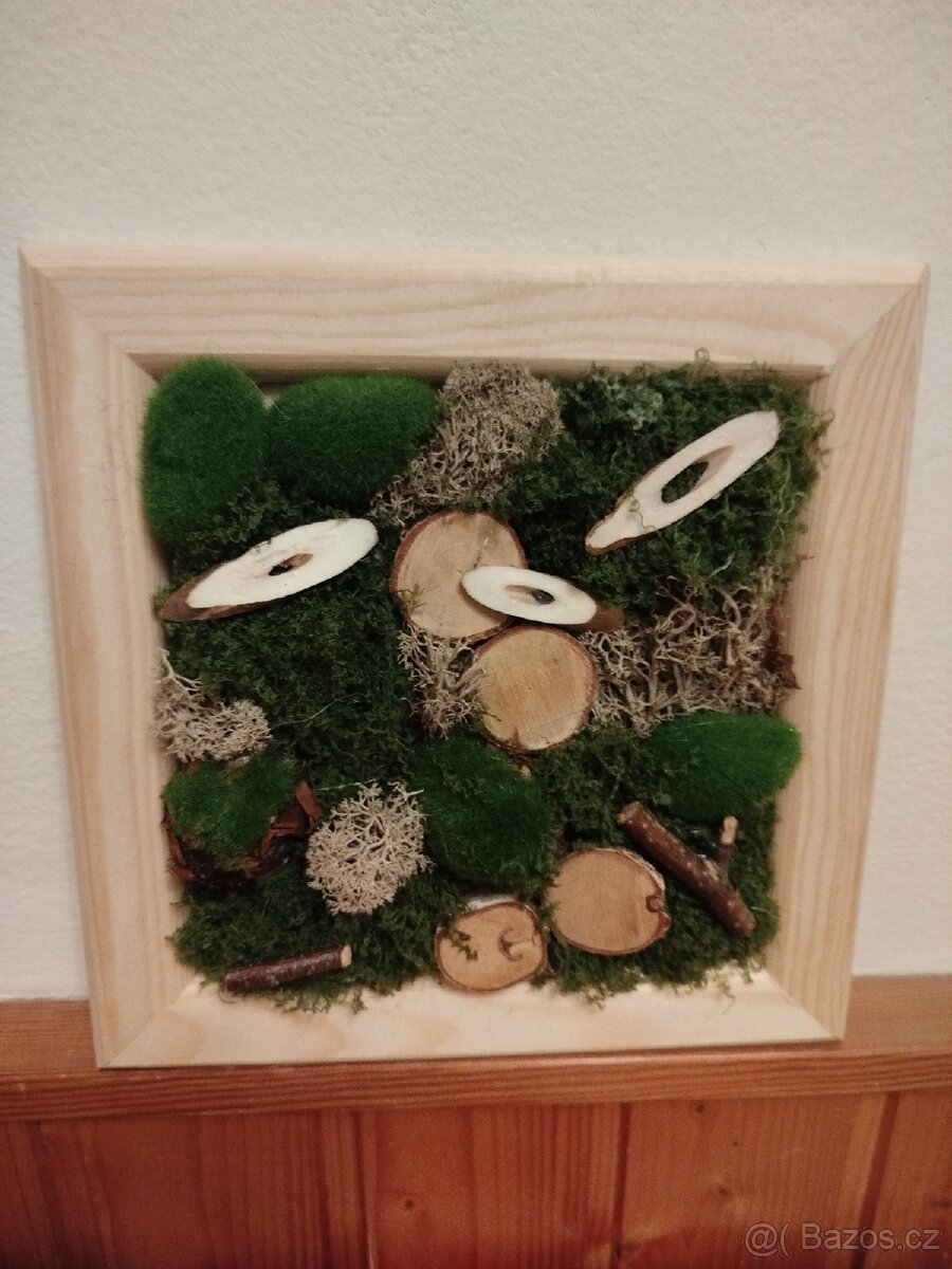 Obrázek mechovy - 2