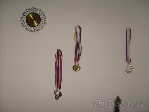 MEDAILE - 2