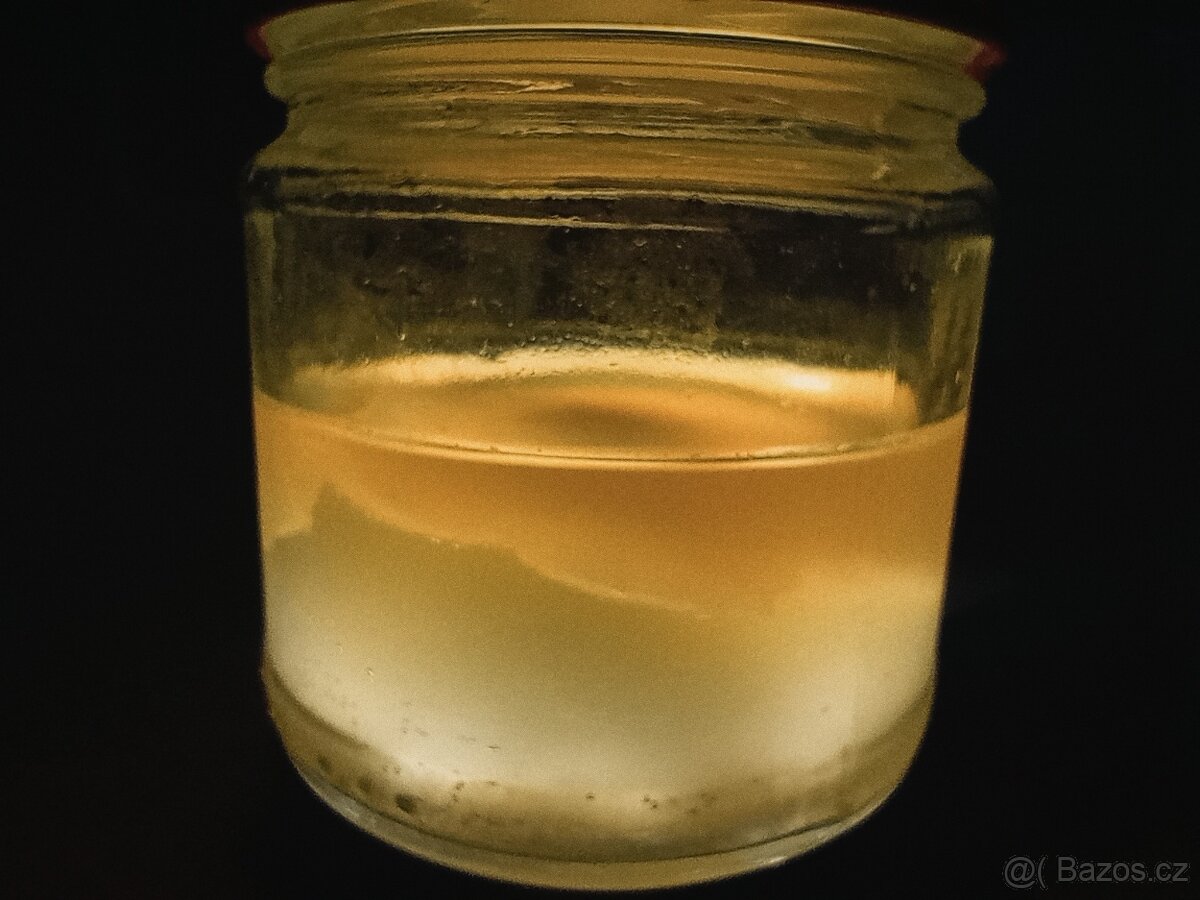 SCOBY (houba, kombucha) - 2