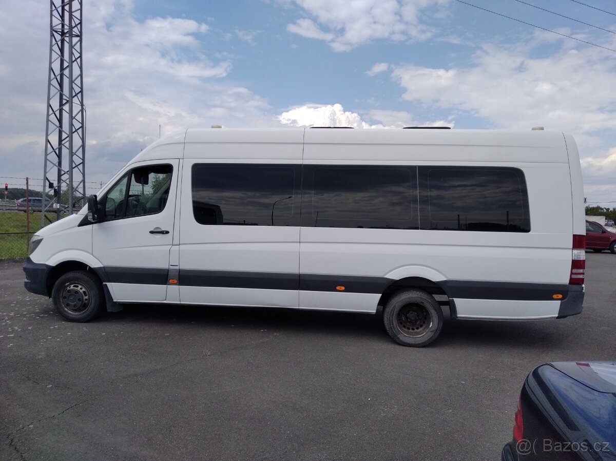 Mercedes-Benz Sprinter 513 Bluetec-DPH - 2