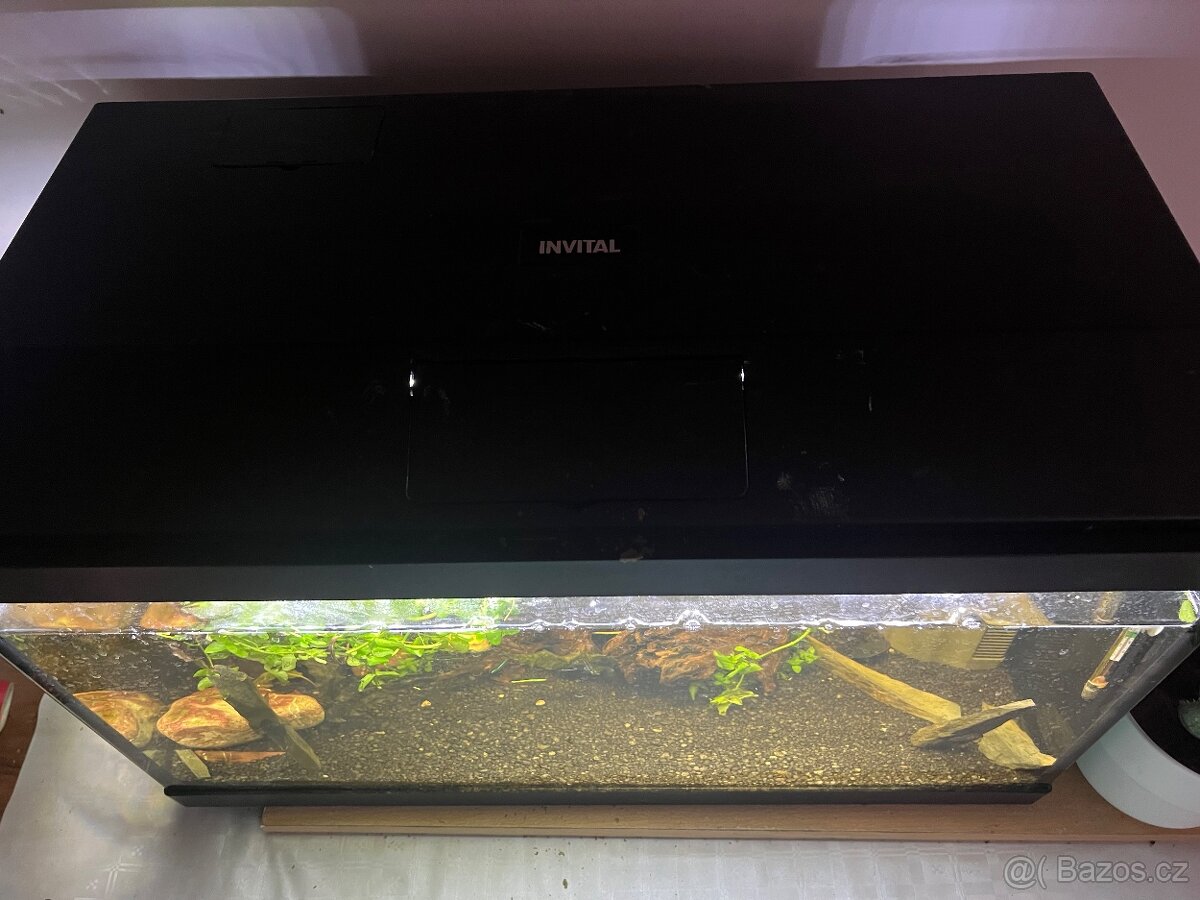 Akvárium INVITAL 60L. S rybičkama a filtrem Oase Bioplus 100 - 2