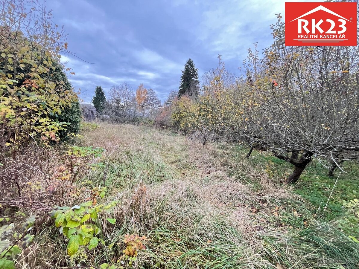 Prodej, Pozemek, Stráž - Olešná, ev.č. 02001 - 2