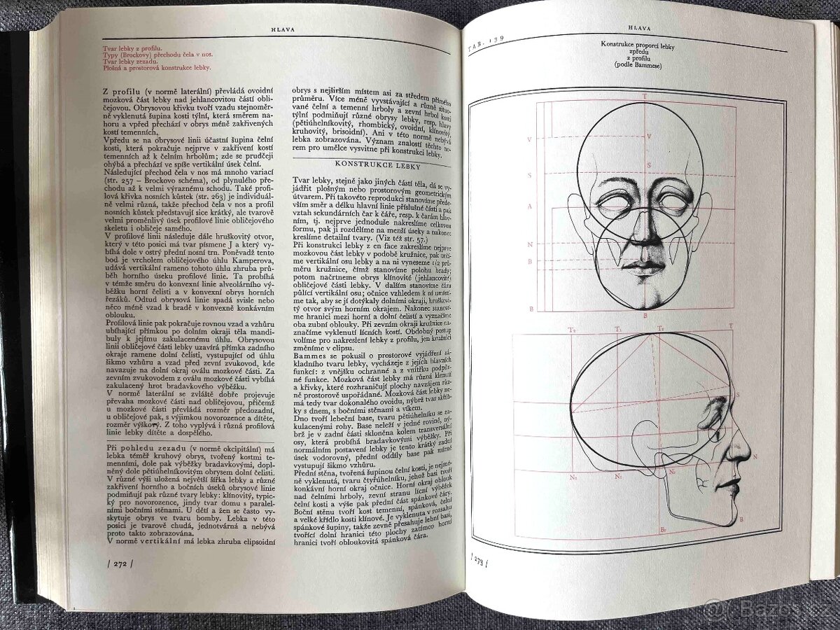Anatomie pro výtvarníky od Prof.MUDr.Zrzavého - 2
