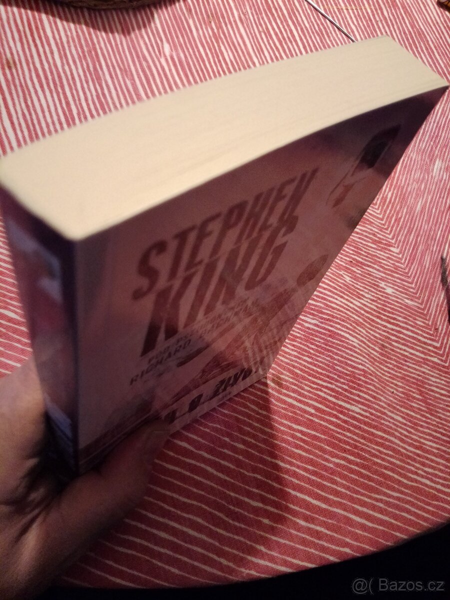 Stephen King - Srovnáno se zemí - 2