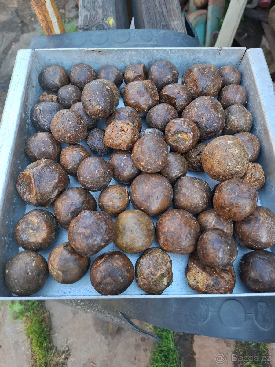 Prodám propolis - 2