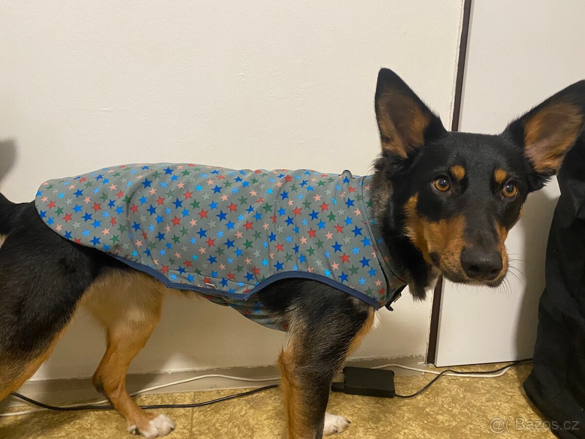 Obleček pro psa - 2
