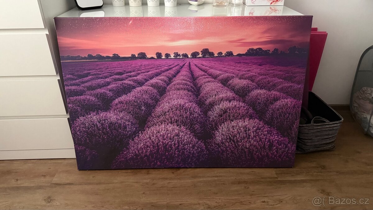 Fotoobraz - Levandulové pole - 2