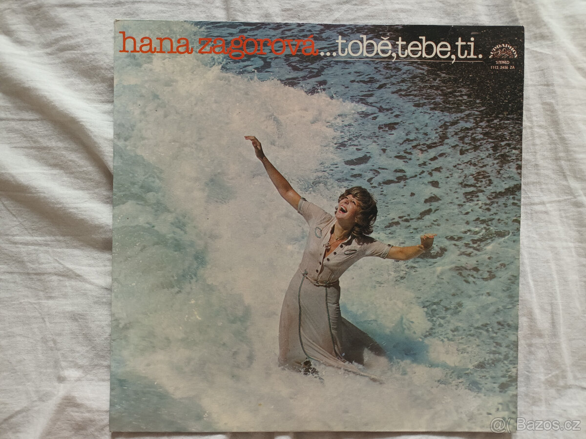 LP Vinylové české desky - 2